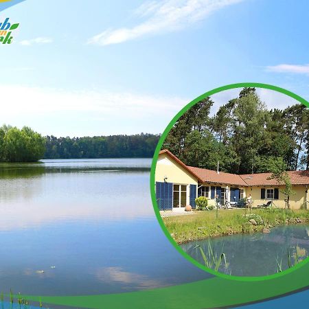 Familien-Suite-Im-Wald-Am-See Bork المظهر الخارجي الصورة